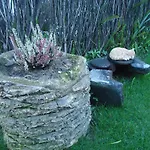 Farm stay A Casa Estrelicia-dourada Garces *
