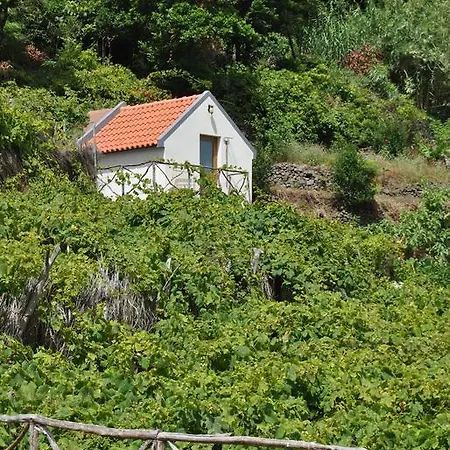 A Casa Estrelicia-dourada Garces São Vicente