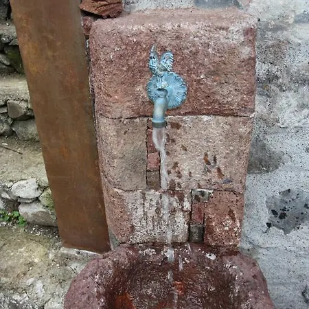 A Casa Estrelicia-dourada Garces Farma São Vicente