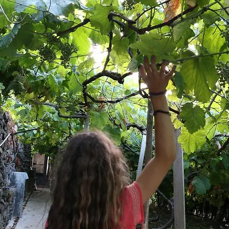 A Casa Estrelicia-dourada Garces São Vicente