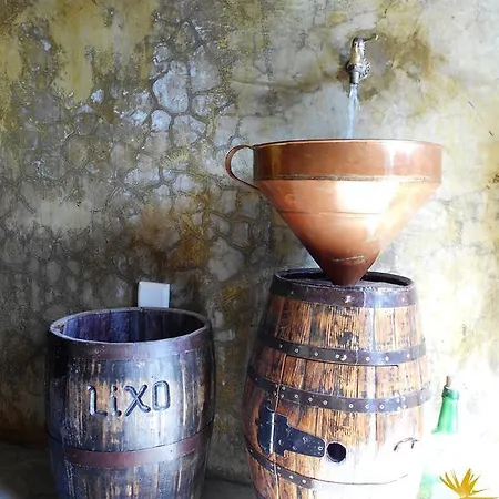 A Casa Estrelicia-dourada Garces Farma São Vicente
