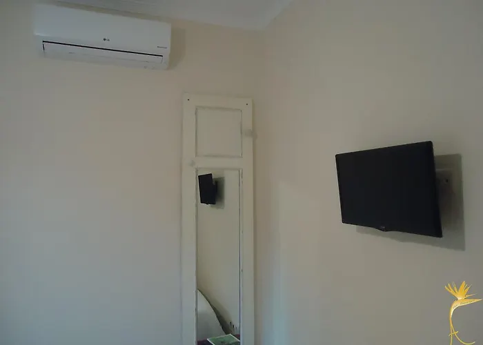 A Casa Estrelicia-dourada Garces *