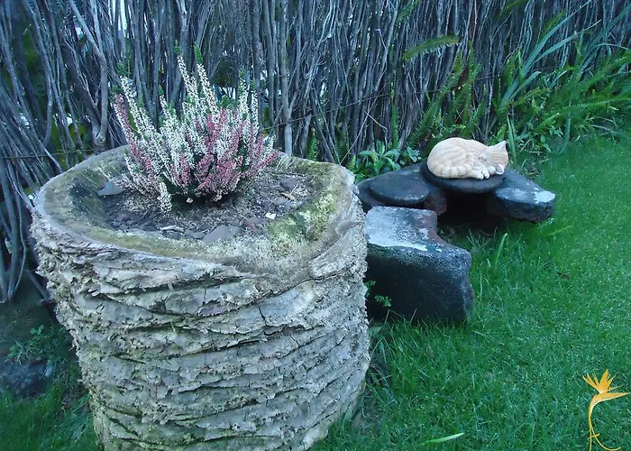 בית חווה A Casa Estrelicia-dourada Garces *