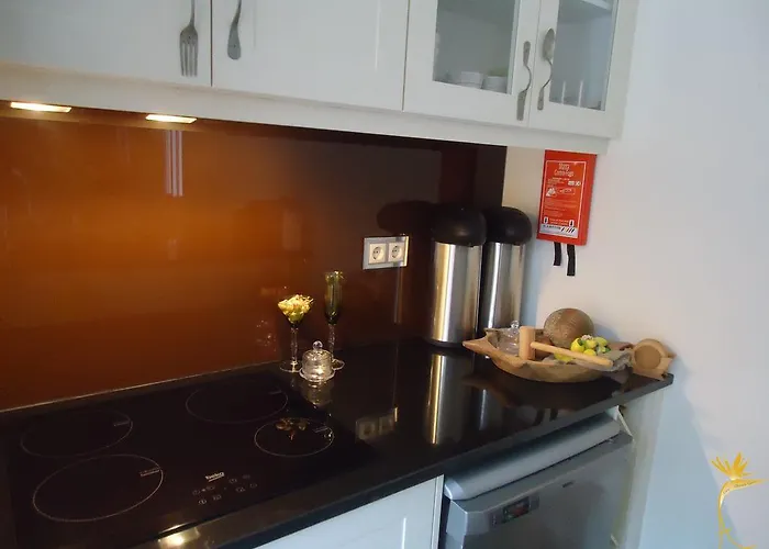 A Casa Estrelicia-dourada Garces * São Vicente