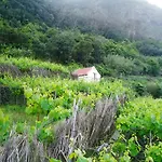 A Casa Estrelícia-dourada Garcês São Vicente