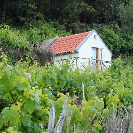 A Casa Estrelicia-dourada Garces Farm stay