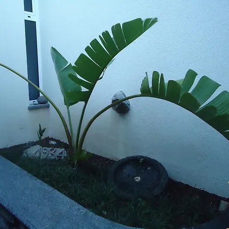 Farm stay A Casa Estrelicia-dourada Garces Sao Vicente (Madeira)