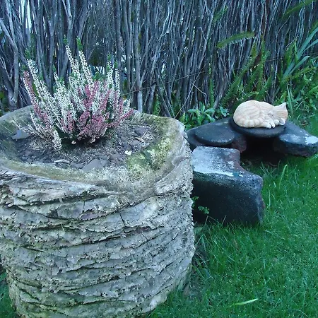 农家乐 A Casa Estrelicia-dourada Garces *