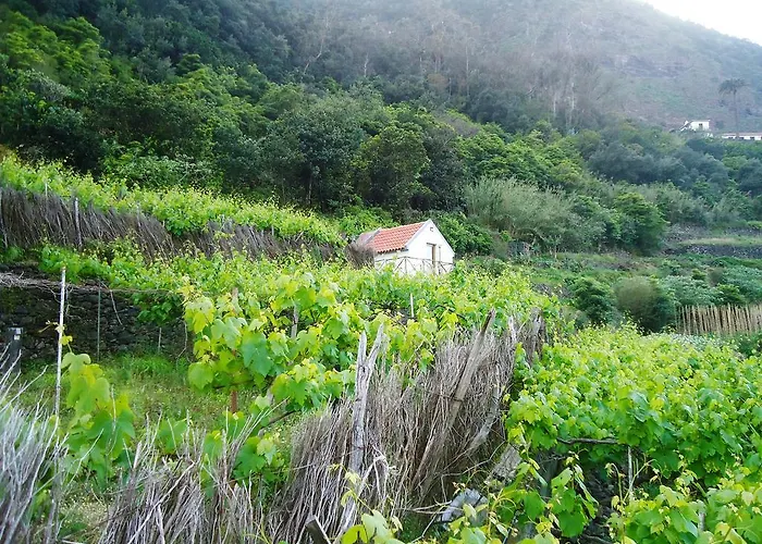A Casa Estrelicia-dourada Garces Сан-Висенти