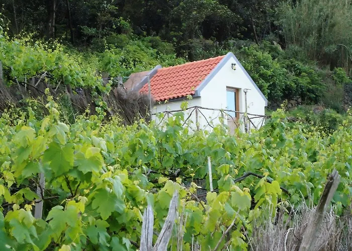 A Casa Estrelicia-dourada Garces Фермерский дом