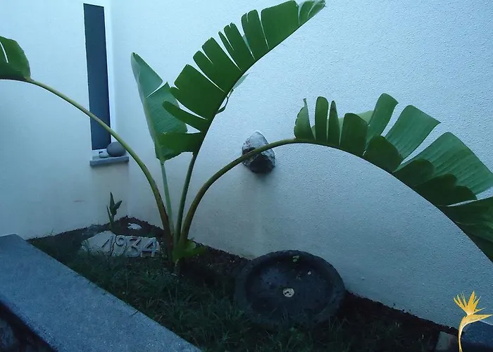 Фермерский дом A Casa Estrelicia-dourada Garces Сан-Висенти