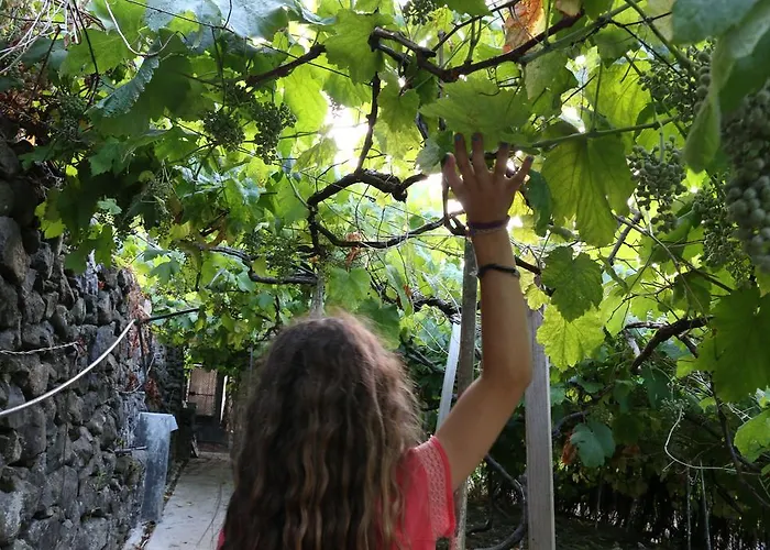 A Casa Estrelicia-dourada Garces Сан-Висенти